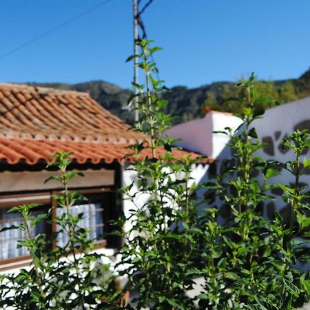 Villa Ilusiones Tejeda  Esterno foto
