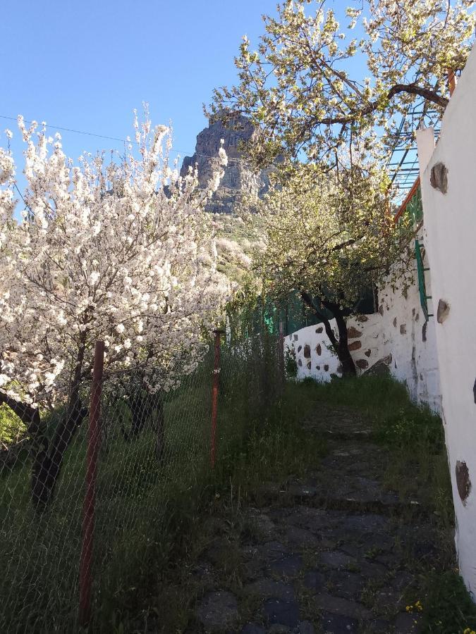 Villa Ilusiones Tejeda  Esterno foto