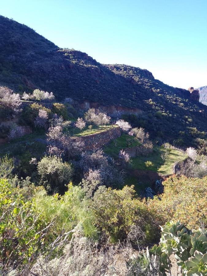 Villa Ilusiones Tejeda  Esterno foto