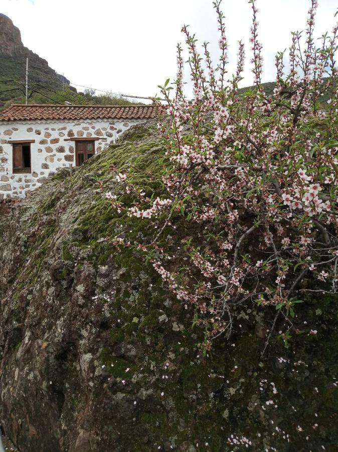 Villa Ilusiones Tejeda  Esterno foto
